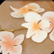 愿你三冬暖，愿你春不寒； 愿你天黑有灯，下雨有伞；