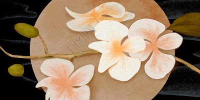 愿你三冬暖，愿你春不寒； 愿你天黑有灯，下雨有伞；