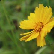 当初相机入手三天瞎拍