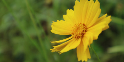 当初相机入手三天瞎拍