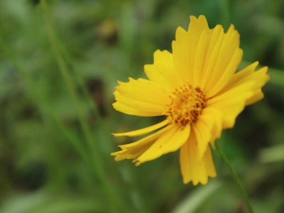 当初相机入手三天瞎拍