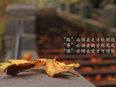 我的小小的愿望