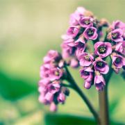 只愿久伴不是换来腻烦