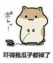 【爬坑日记】git大小写不敏感导致错误的大坑